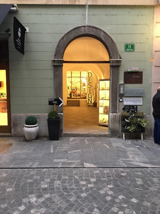 Urban Homy Ljubljana Bed & Breakfast エクステリア 写真